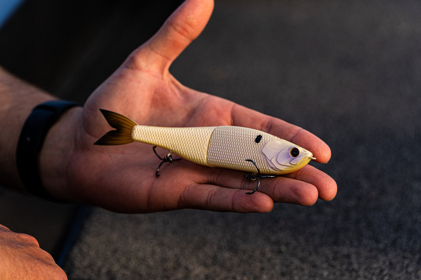 6th Sense The Draw 6.5 Glide Bait - Dogfish Tackle & Marine