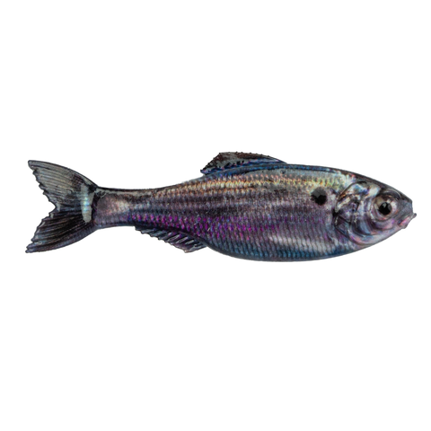 6th Sense Panorama Swimbait Unrigged Series - Dogfish Tackle & Marine