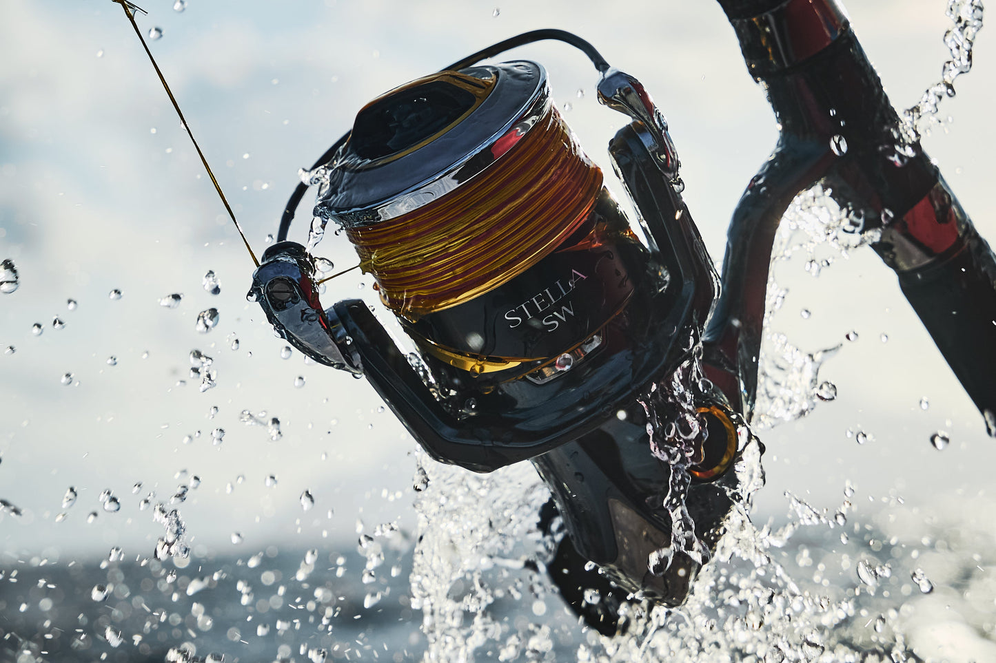 Shimano 2025 Stella SW D Spinning Reel - Dogfish Tackle & Marine