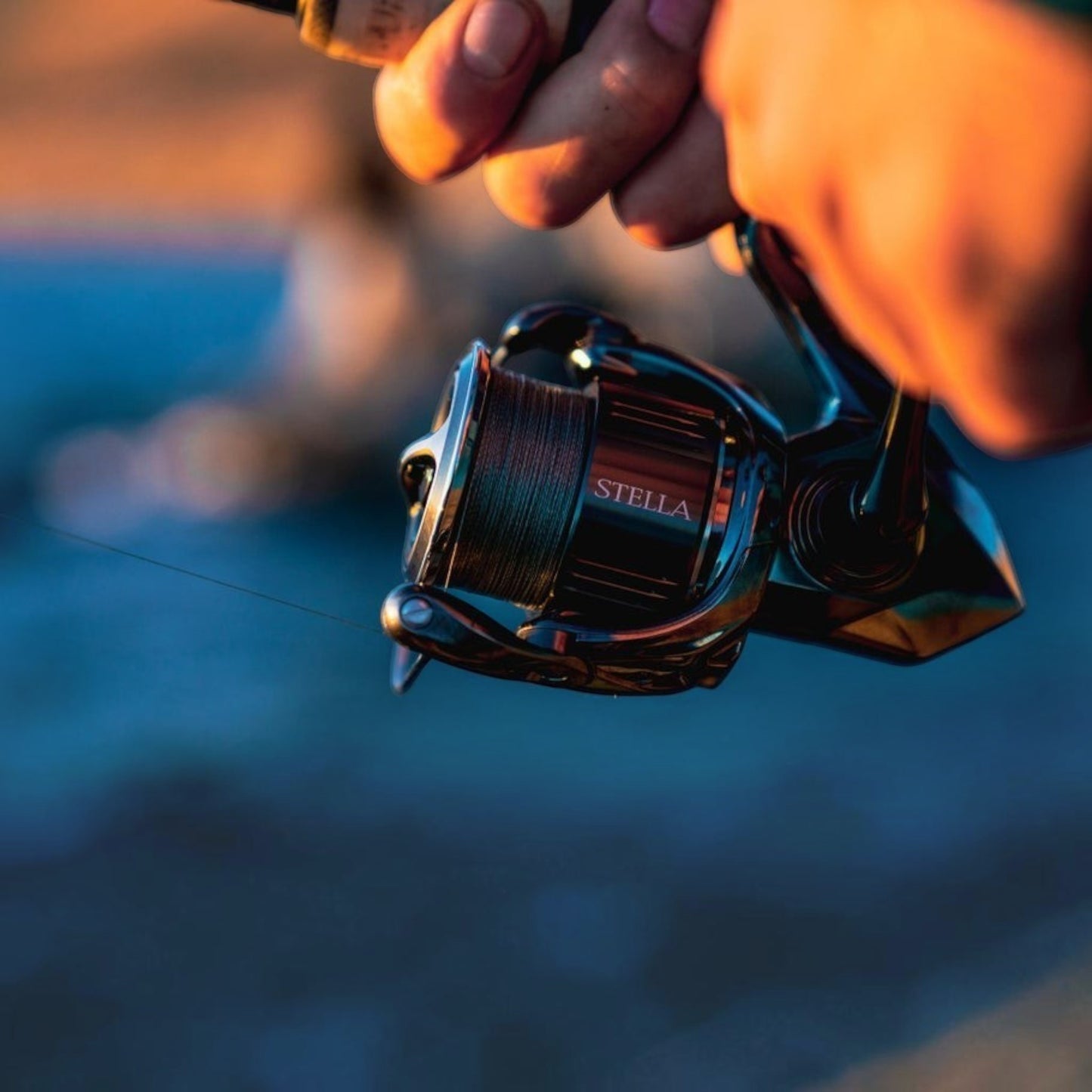 Dogfish Tackle & Marine Shimano Stella FK spinning reel with dark metallic finish and braided fishing line.