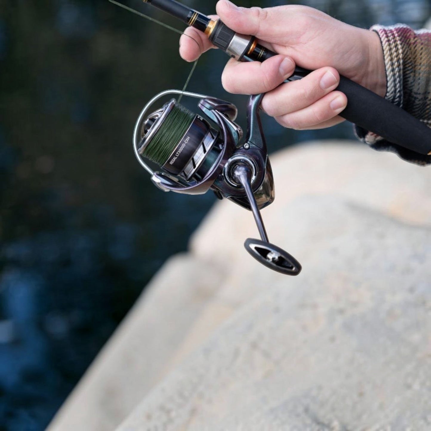 Daiwa Regal Lt Spinning Reel - Dogfish Tackle & Marine
