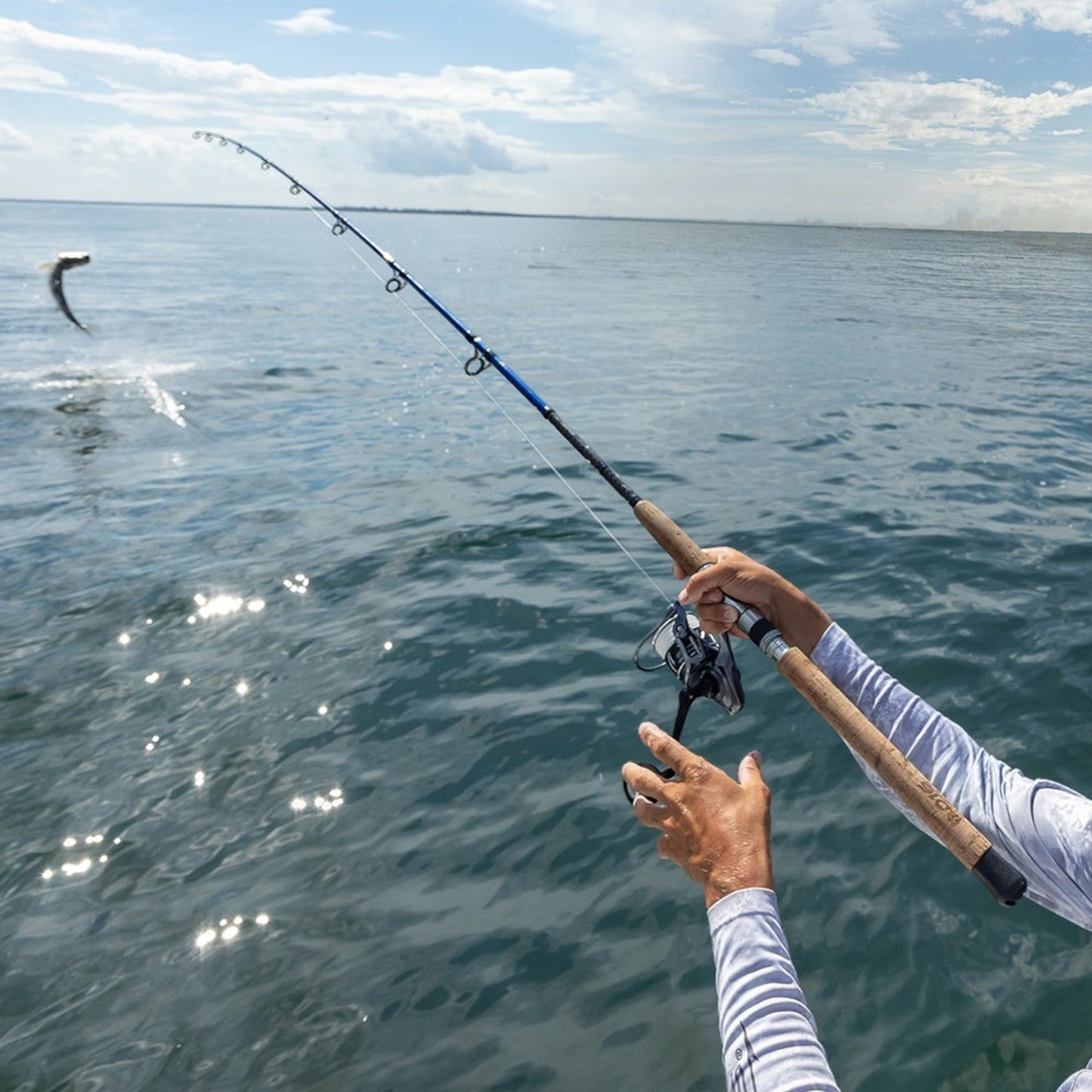 Tsunami Shield II Spinning Reel - Dogfish Tackle & Marine