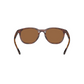 Dogfish Tackle & Marine Native Eyewear Targhee sunglasses with a round tortoise shell frame and brown polarized lenses.