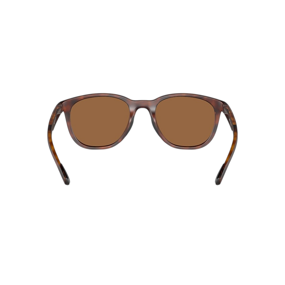 Dogfish Tackle & Marine Native Eyewear Targhee sunglasses with a round tortoise shell frame and brown polarized lenses.