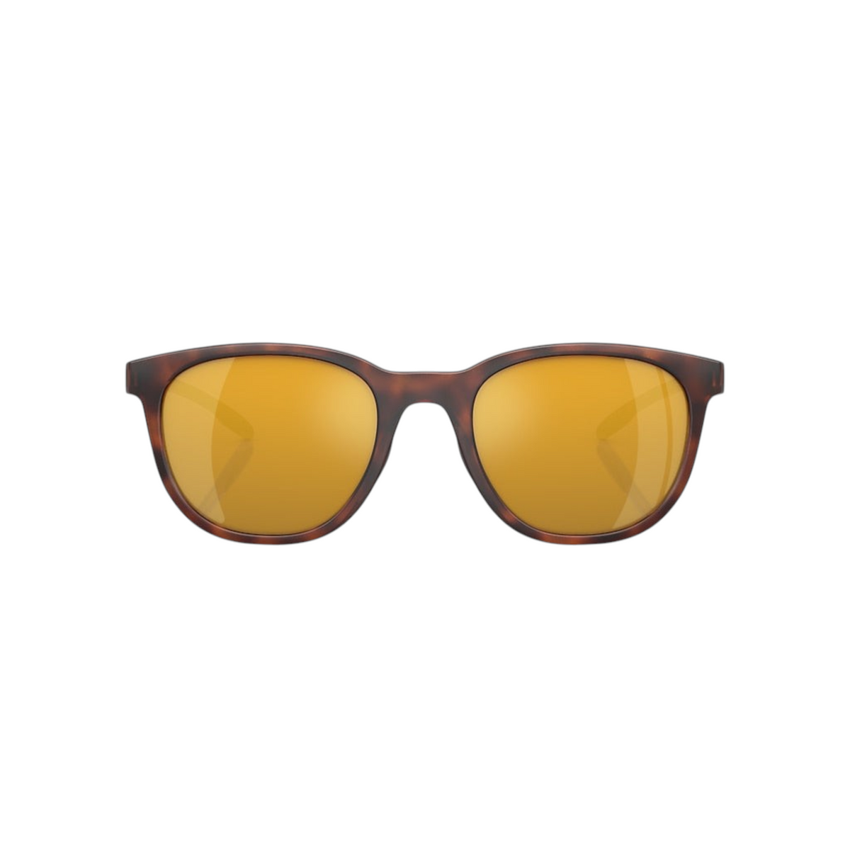 Dogfish Tackle & Marine Native Eyewear Targhee sunglasses featuring a round tortoise frame and amber polarized lenses.