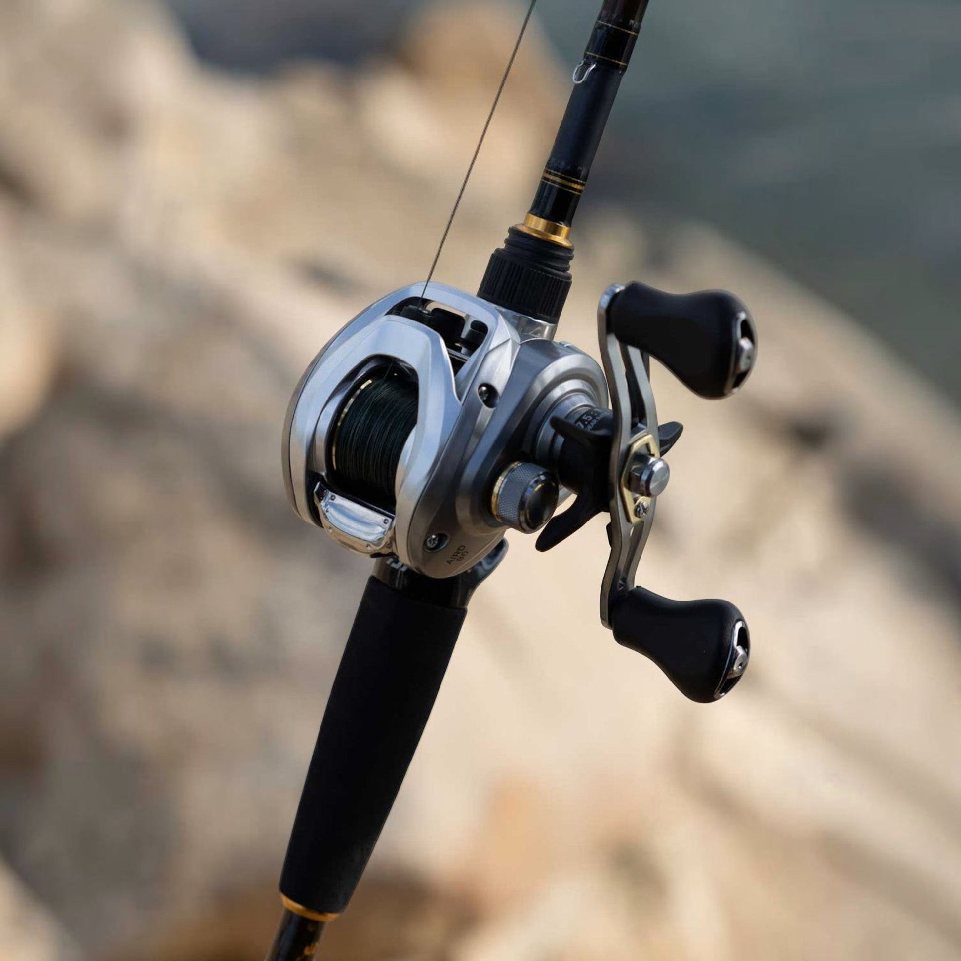 Daiwa Aird 80 Casting Reel - Dogfish Tackle & Marine