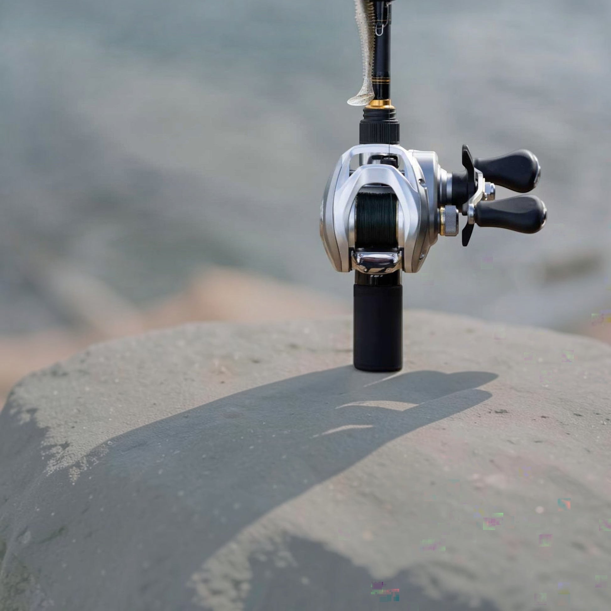 Daiwa Aird 80 Casting Reel - Dogfish Tackle & Marine
