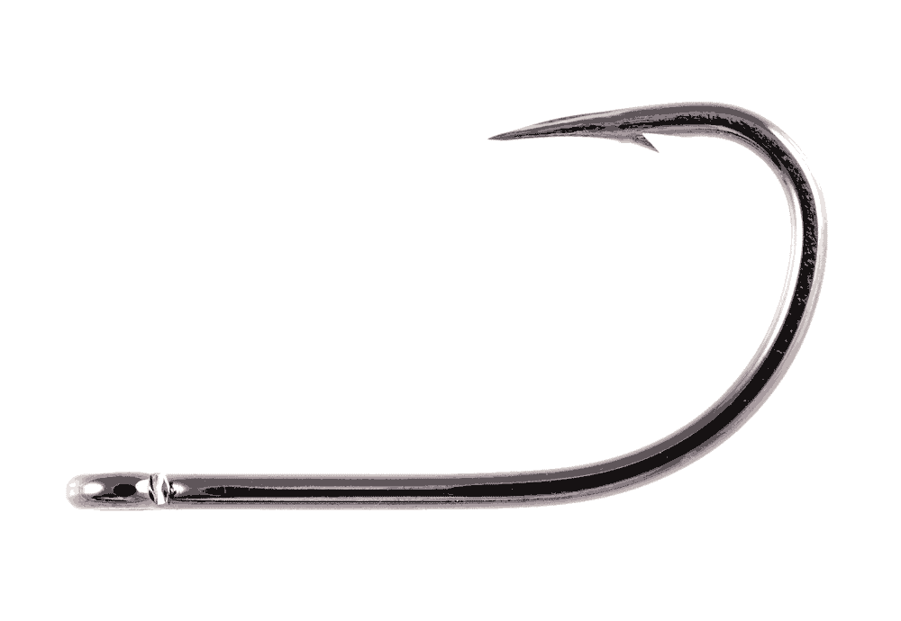 Owner Aki Hook