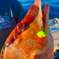 E&N Jigs Ledge Knockers - Dogfish Tackle & Marine
