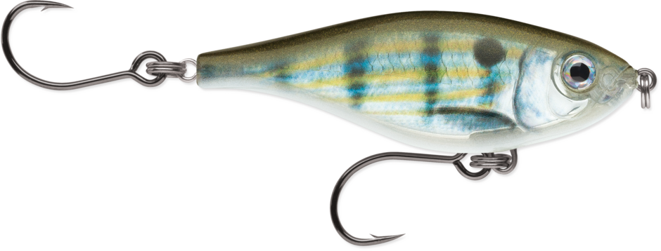 Rapala Twitchin Mullet SXRTM08 - Dogfish Tackle & Marine