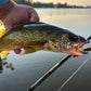 St. Croix Eyecon Spinning Rods - Dogfish Tackle & Marine