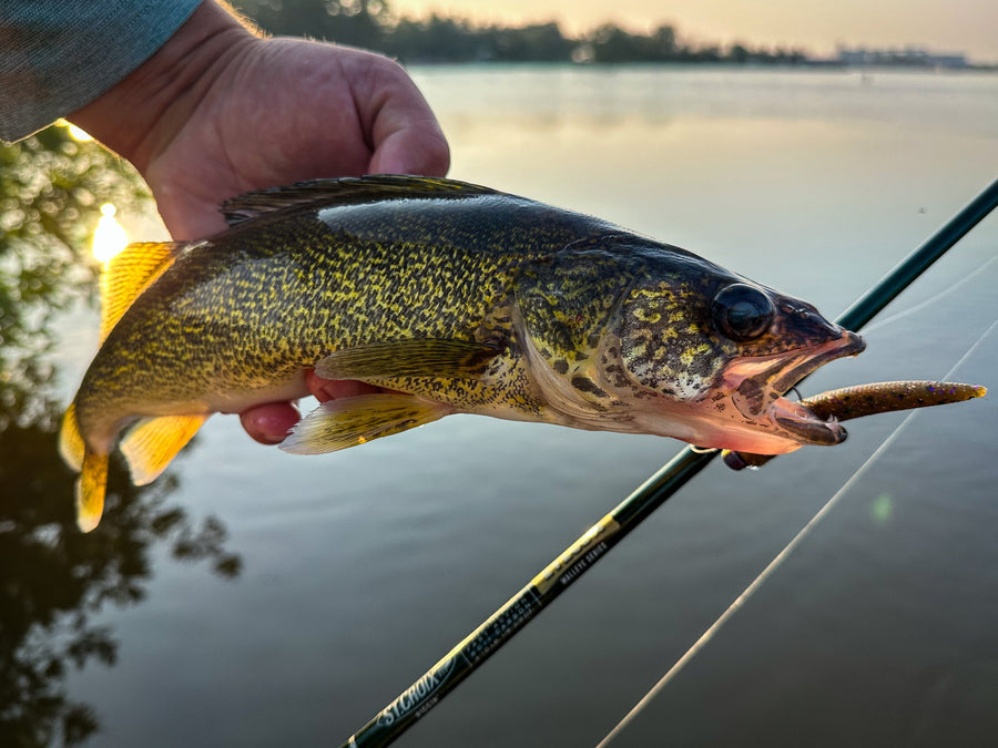 St. Croix Eyecon Spinning Rods - Dogfish Tackle & Marine