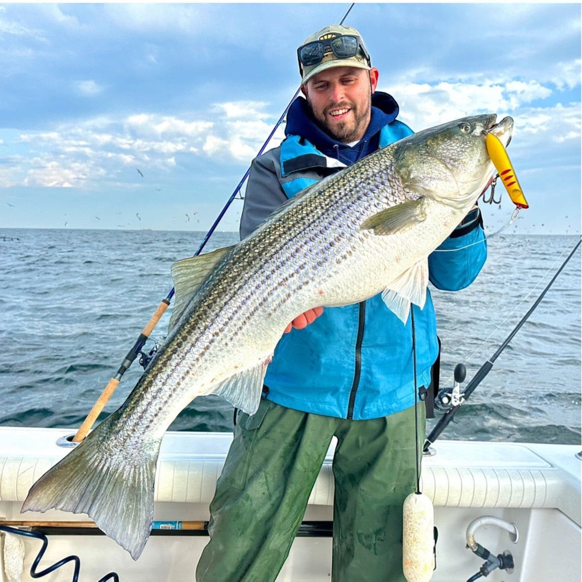 St.Croix Legend Tournament Inshore Spinning Rods - Dogfish Tackle & Marine