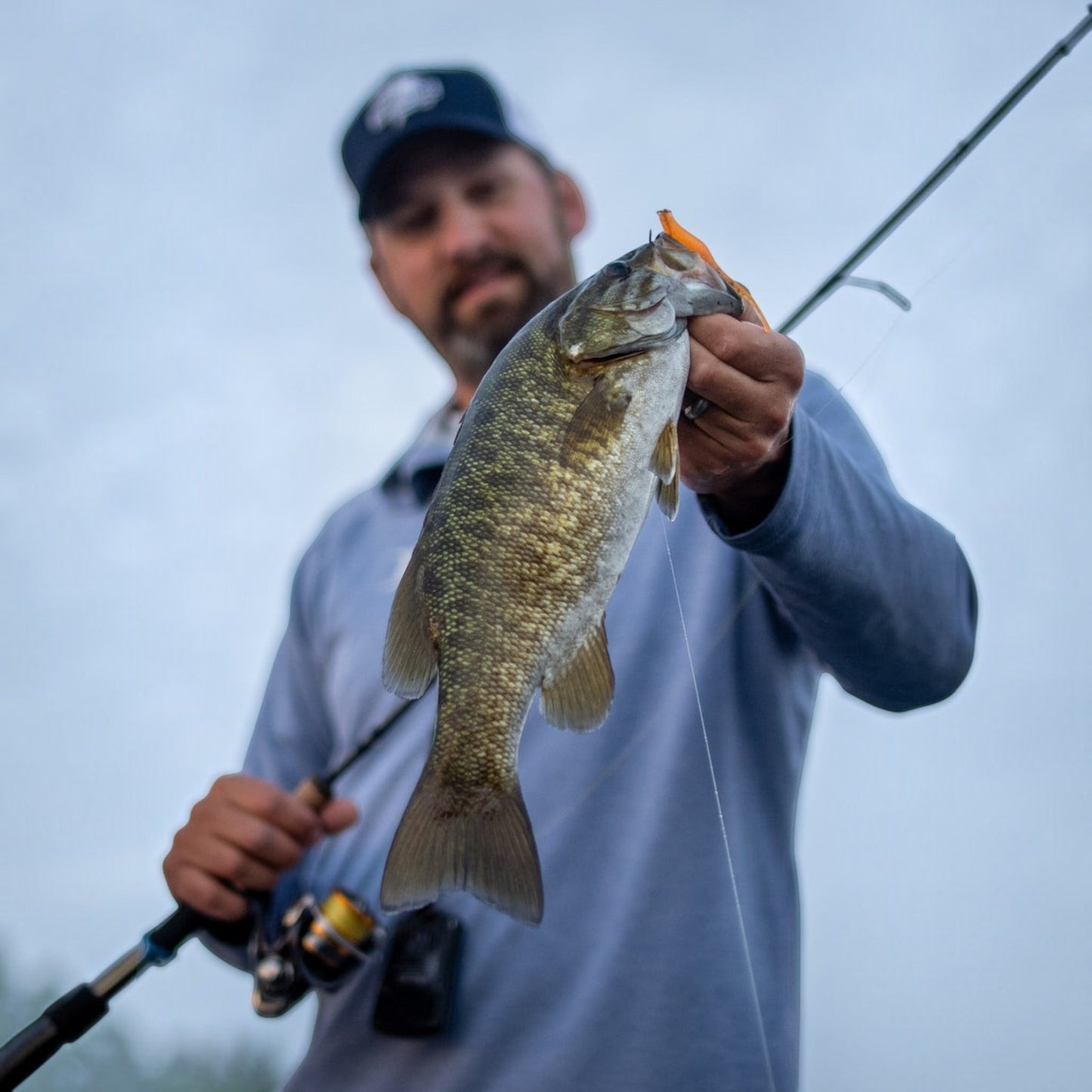 St. Croix Avid Spinning Rods