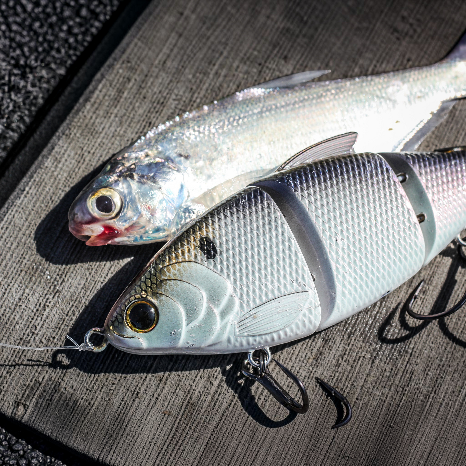 6th Sense Trace 5in Multi Jointed Swimbait - Dogfish Tackle & Marine