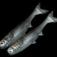 NLBN K-Tails - Dogfish Tackle & Marine