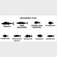 SORD Fishing Products 8in Fillet Knife - Super Flex - Dogfish Tackle & Marine