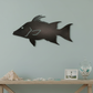Dogfish Starboard Fish Decor