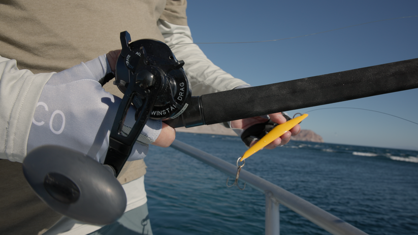 Accurate Ascender SPJ Star Drag Conventional Reel - Dogfish Tackle & Marine