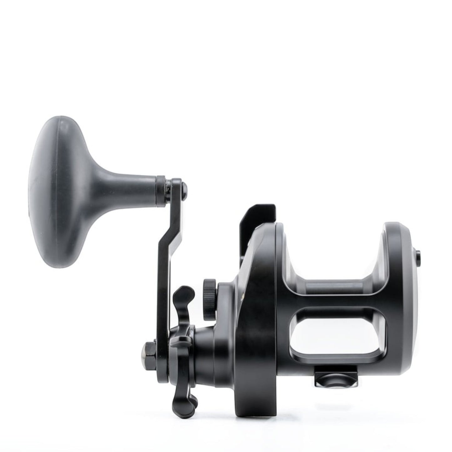 Accurate Ascender Star Drag Conventional Reel - Dogfish Tackle & Marine