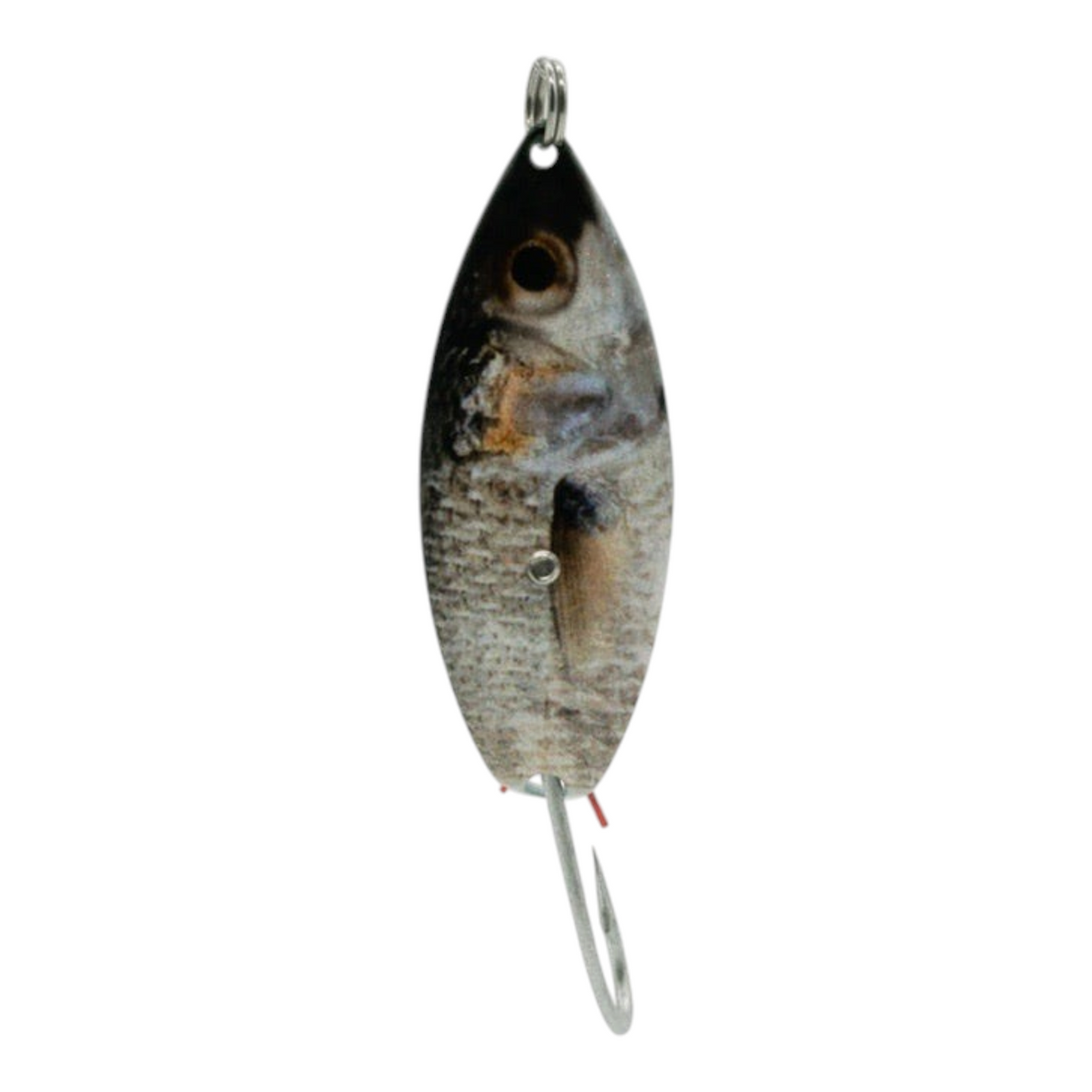 Aqua Dream ADL Weedless Spoons - Dogfish Tackle & Marine
