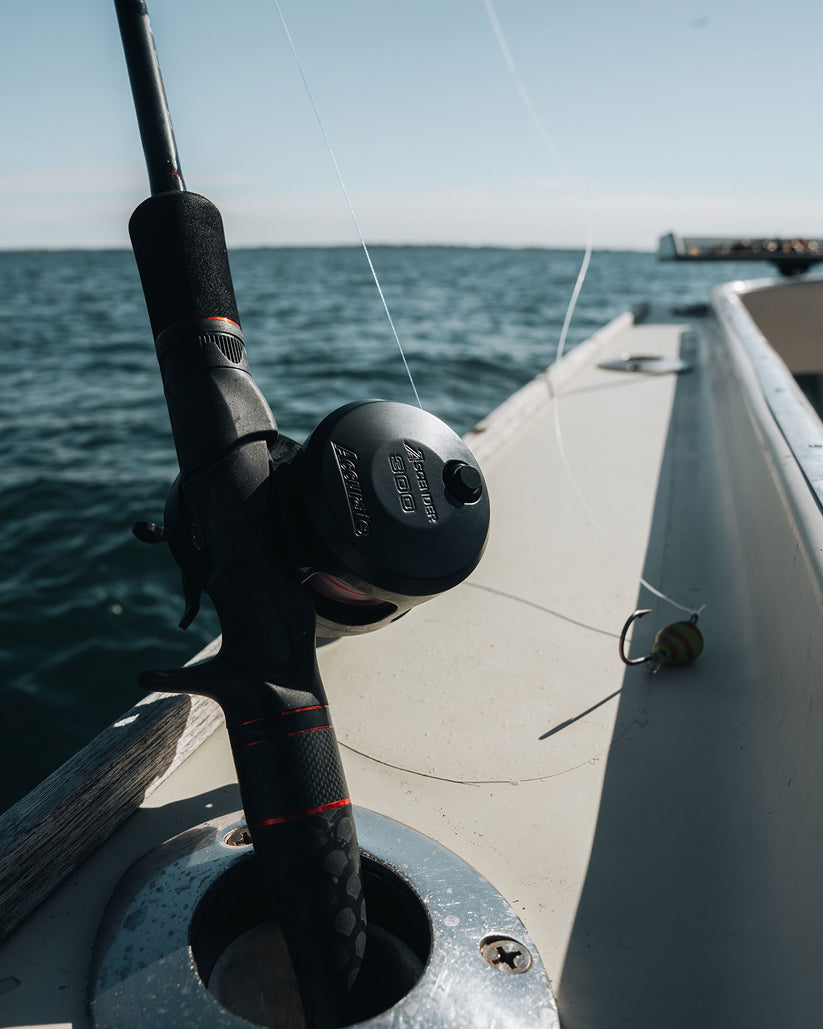 Accurate Ascender Star Drag Conventional Reel - Dogfish Tackle & Marine