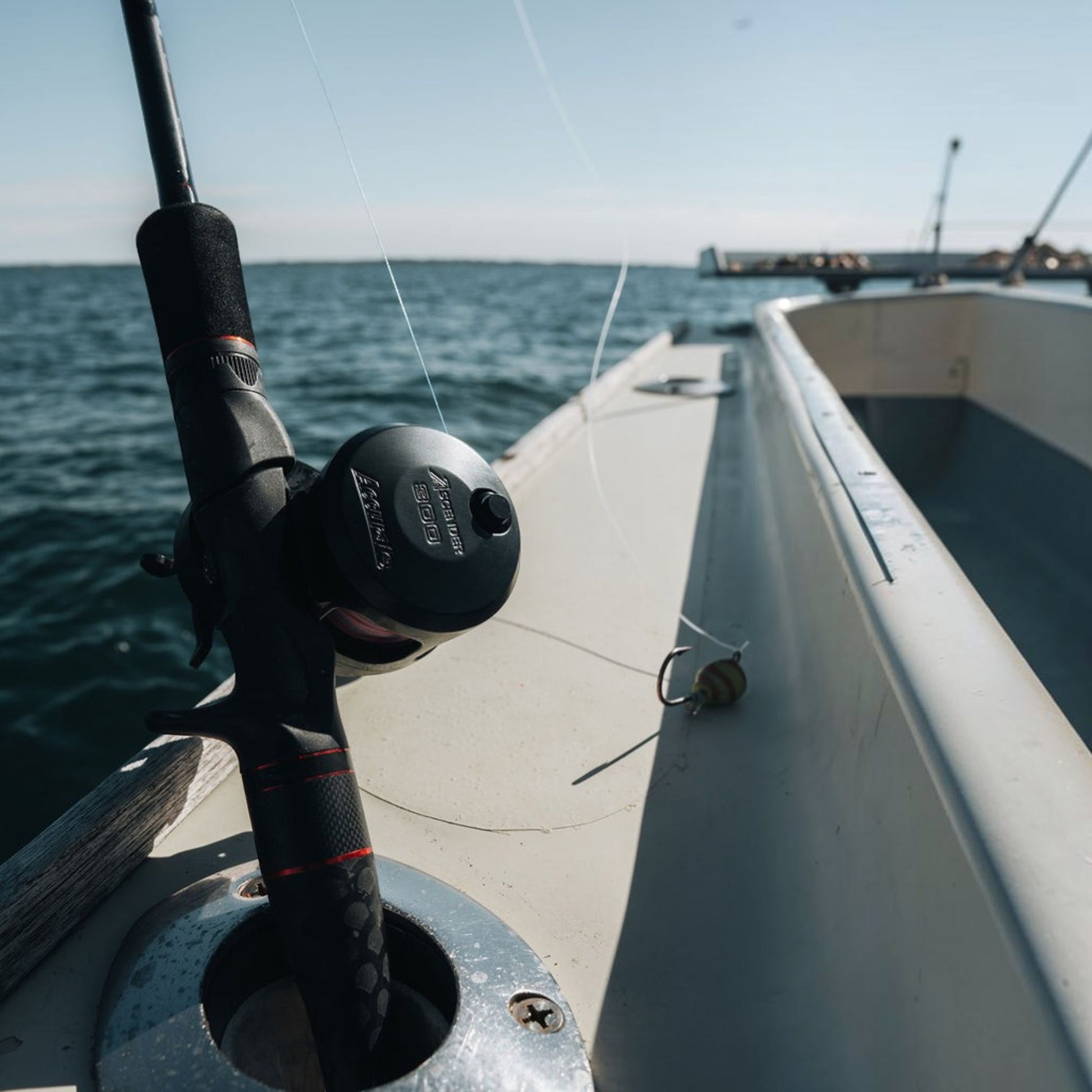 Accurate Ascender Star Drag Conventional Reel - Dogfish Tackle & Marine