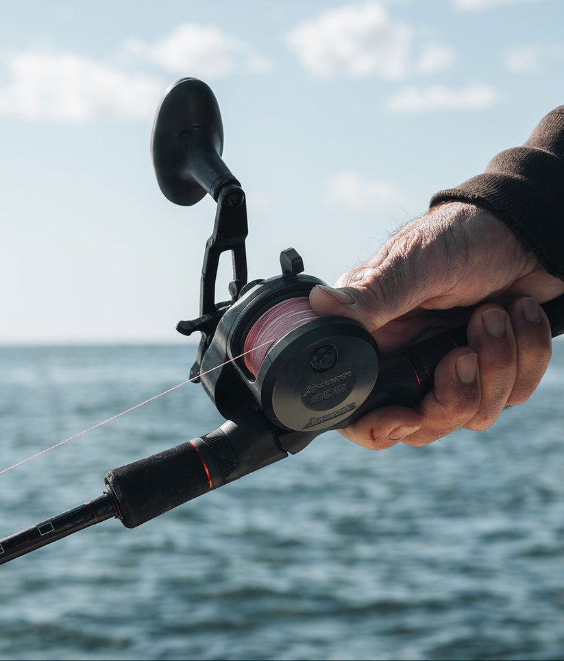 Accurate Ascender Star Drag Conventional Reel - Dogfish Tackle & Marine