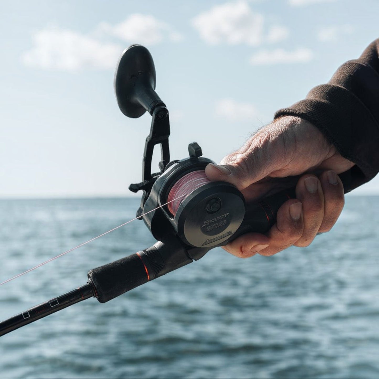 Accurate Ascender Star Drag Conventional Reel - Dogfish Tackle & Marine