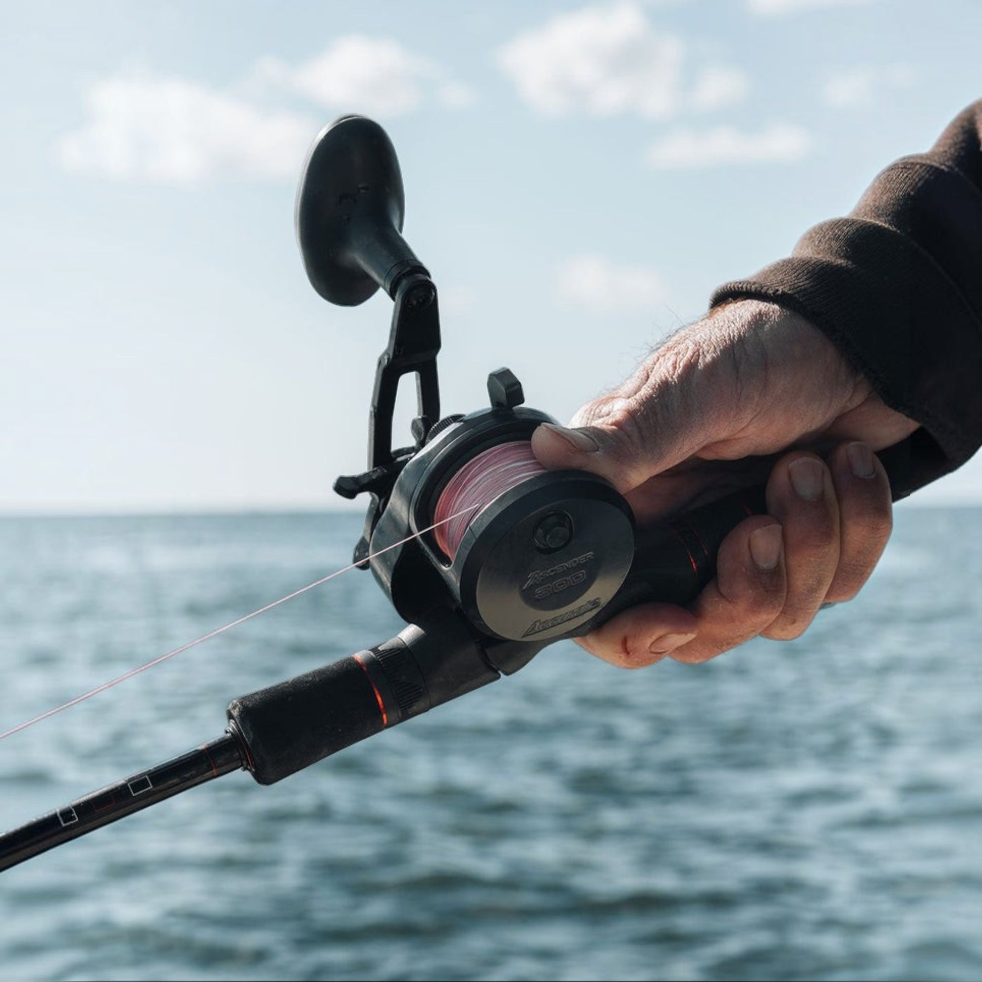 Accurate Ascender Star Drag Conventional Reel - Dogfish Tackle & Marine