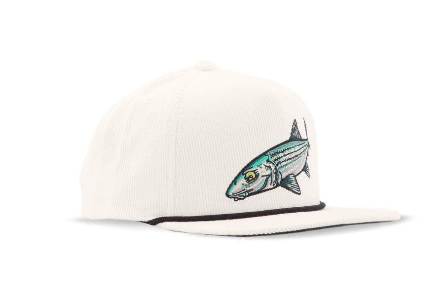 Bajio Bonefish - Flat Brim Corduroy Hat - Dogfish Tackle & Marine
