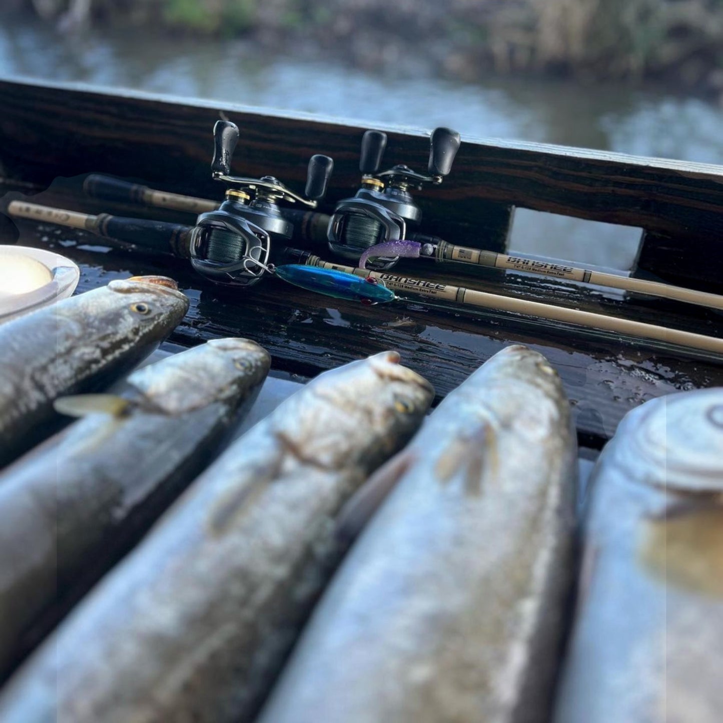 Bull Bay Banshee Baitcasting Rods - Dogfish Tackle & Marine