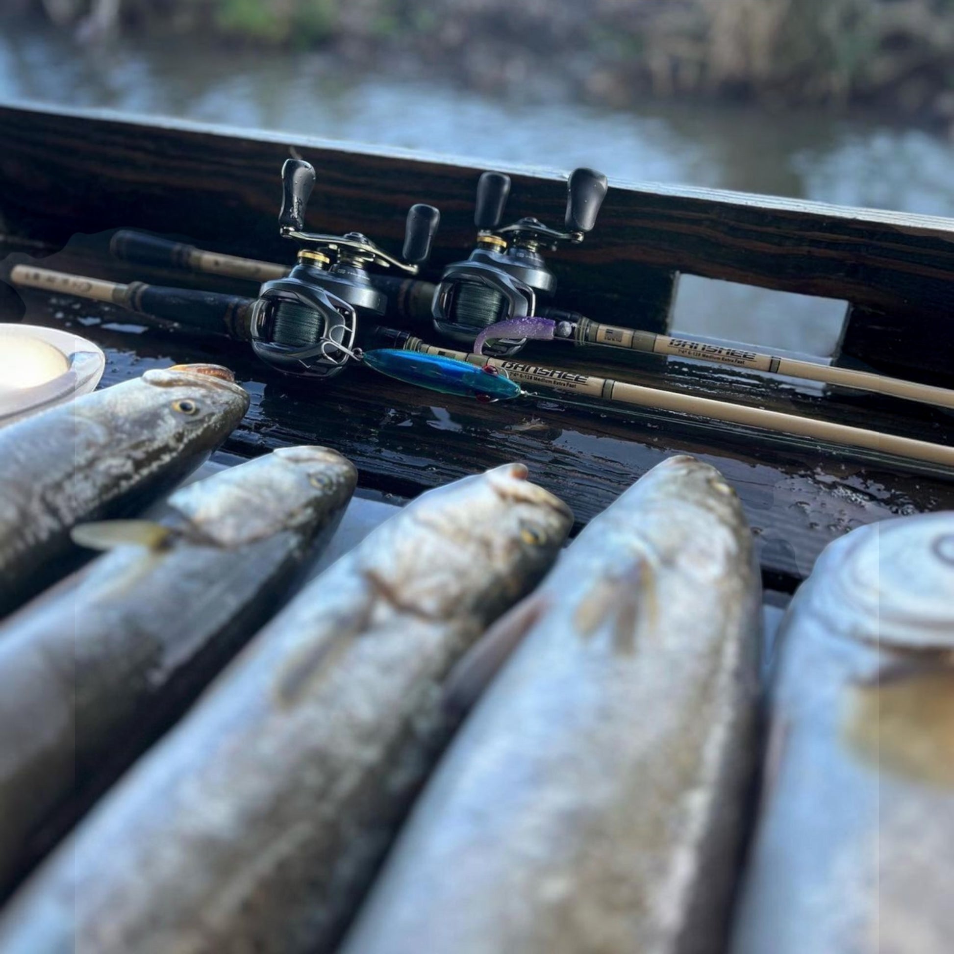 Bull Bay Banshee Baitcasting Rods - Dogfish Tackle & Marine