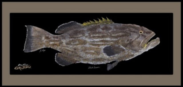 Realfish Indoor/Outdoor Floor Mats