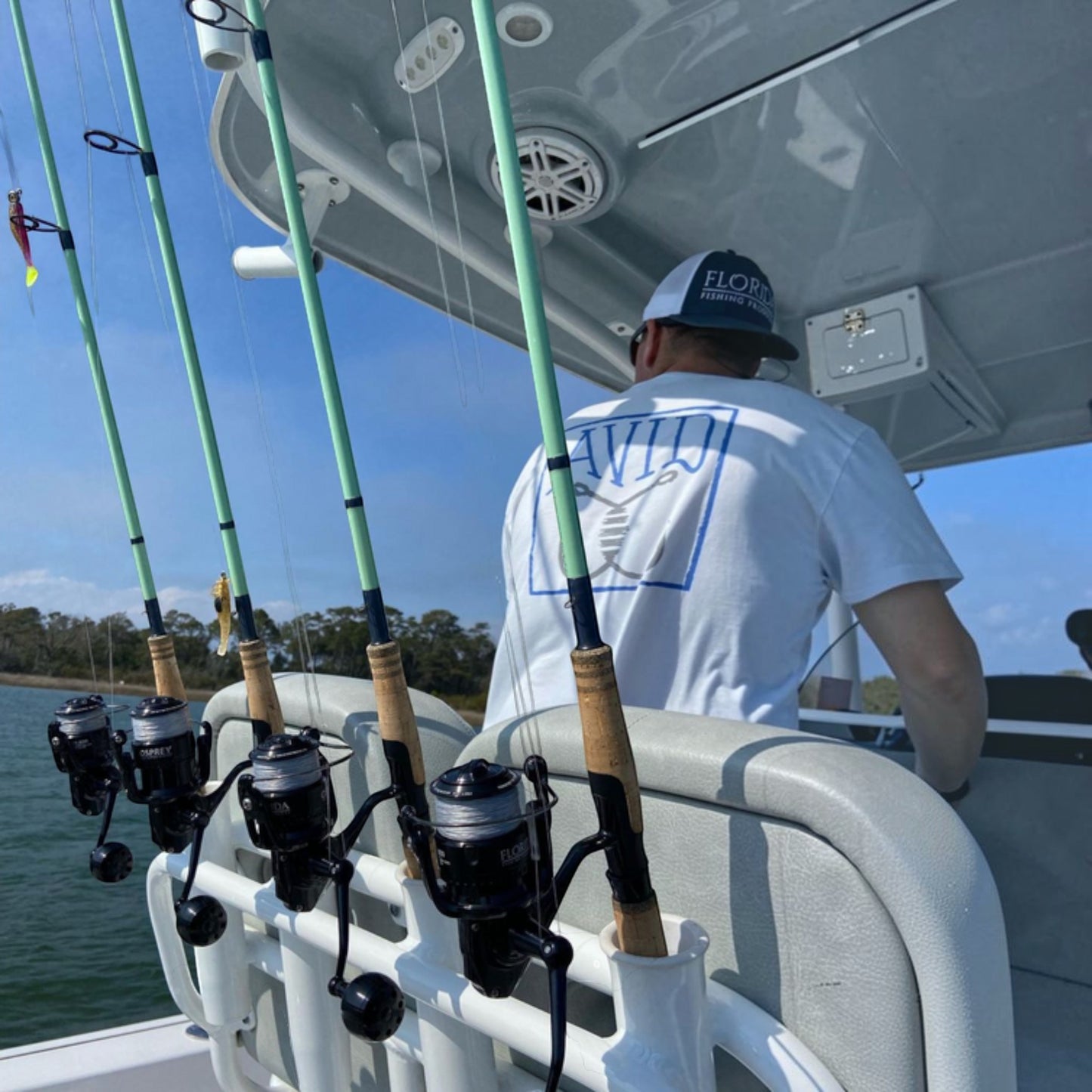 Bull Bay Bolt Spinning Rod - Dogfish Tackle & Marine