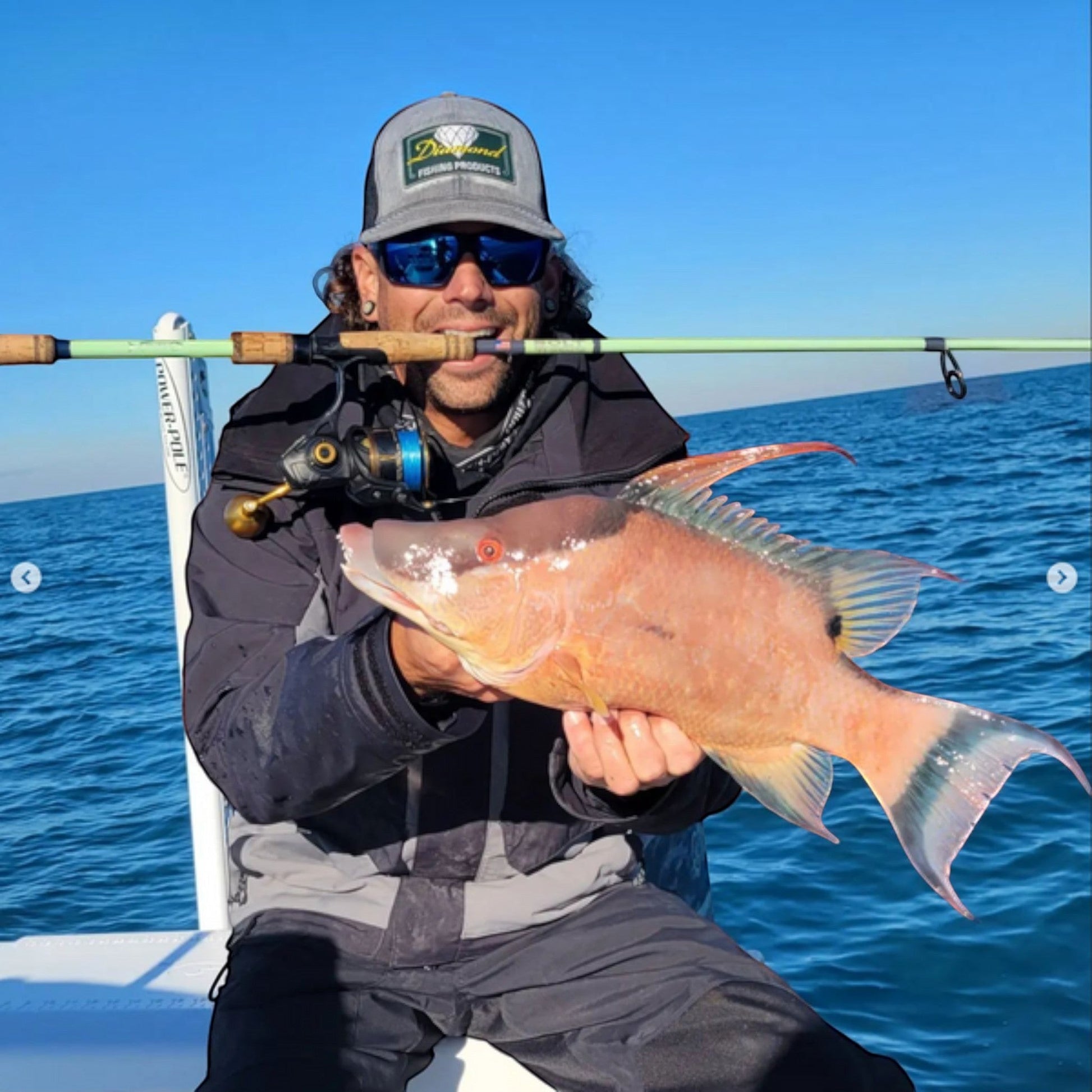 Bull Bay Bolt Spinning Rod - Dogfish Tackle & Marine