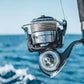 Daiwa 2026 Cerate SW Spinning Reels - Dogfish Tackle & Marine
