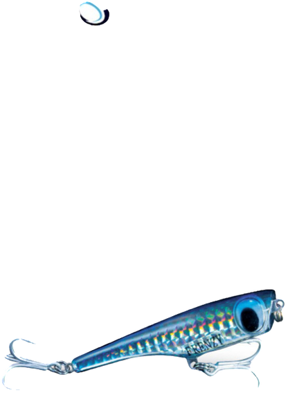 Frenzy Angry Popper - Dogfish Tackle & Marine