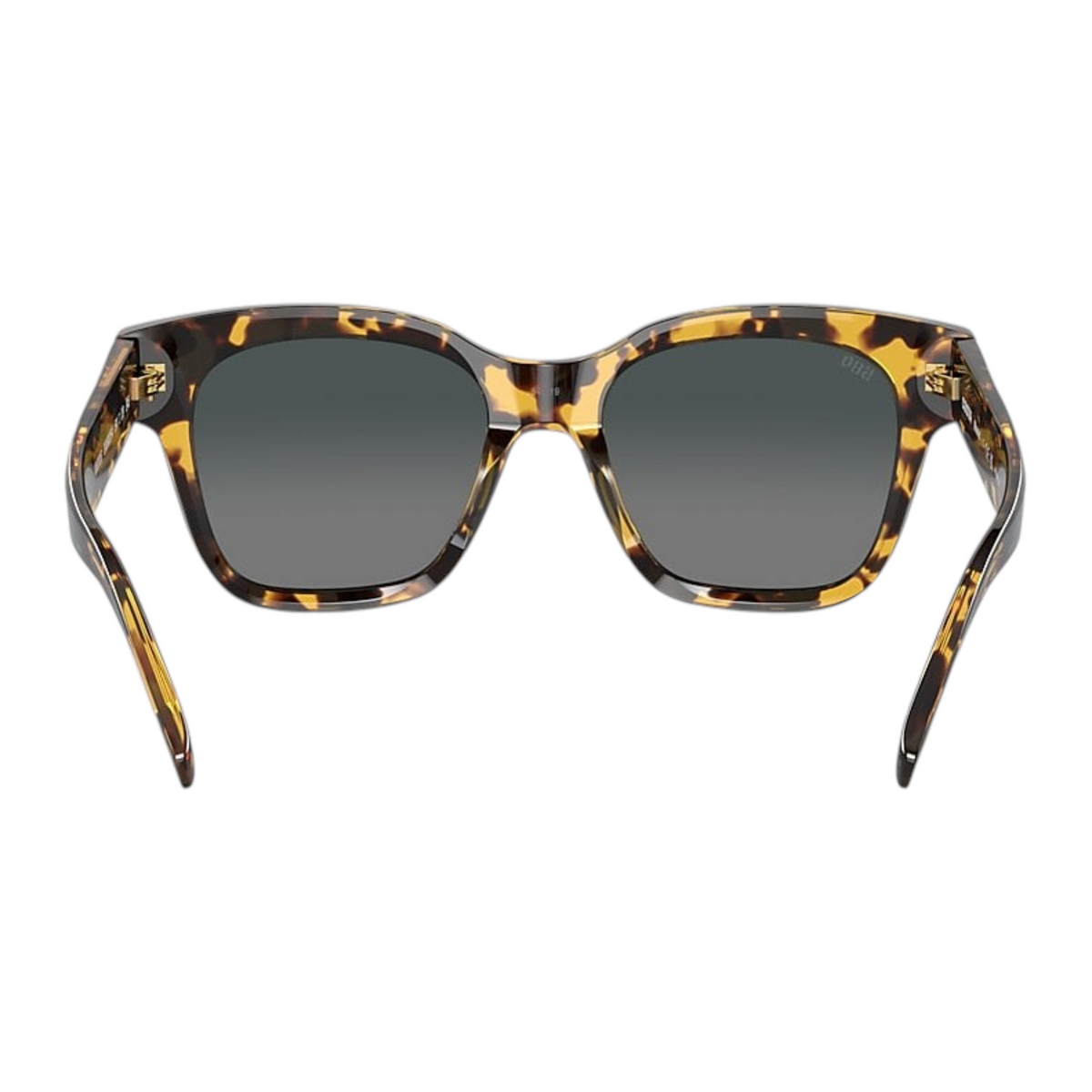 Costa Nusa Polarized Sunglasses - Dogfish Tackle & Marine