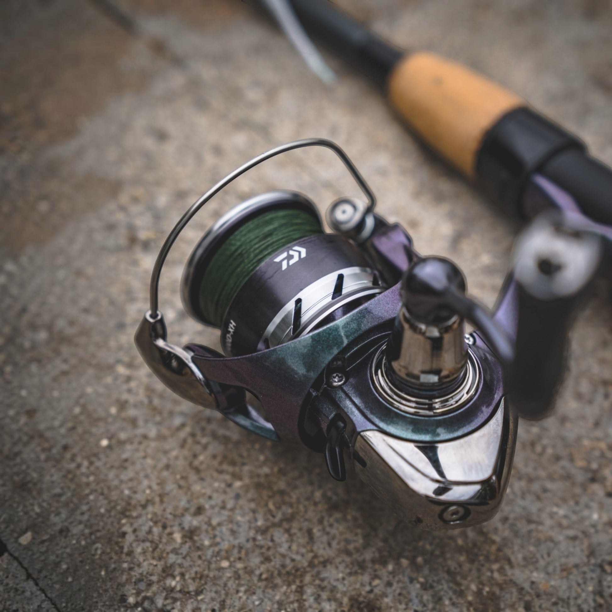 Daiwa 24 Regal Lt Spinning Reel - Dogfish Tackle & Marine