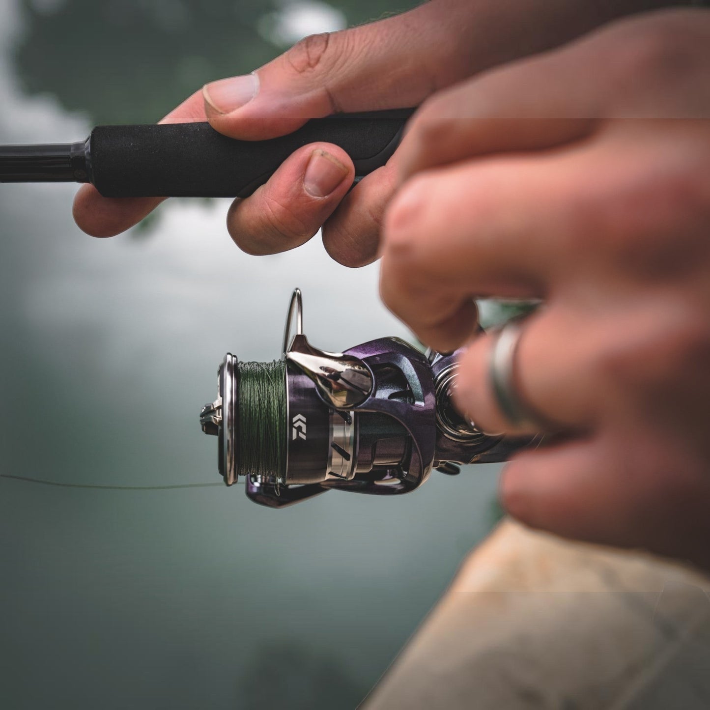 Daiwa 24 Regal Lt Spinning Reel - Dogfish Tackle & Marine