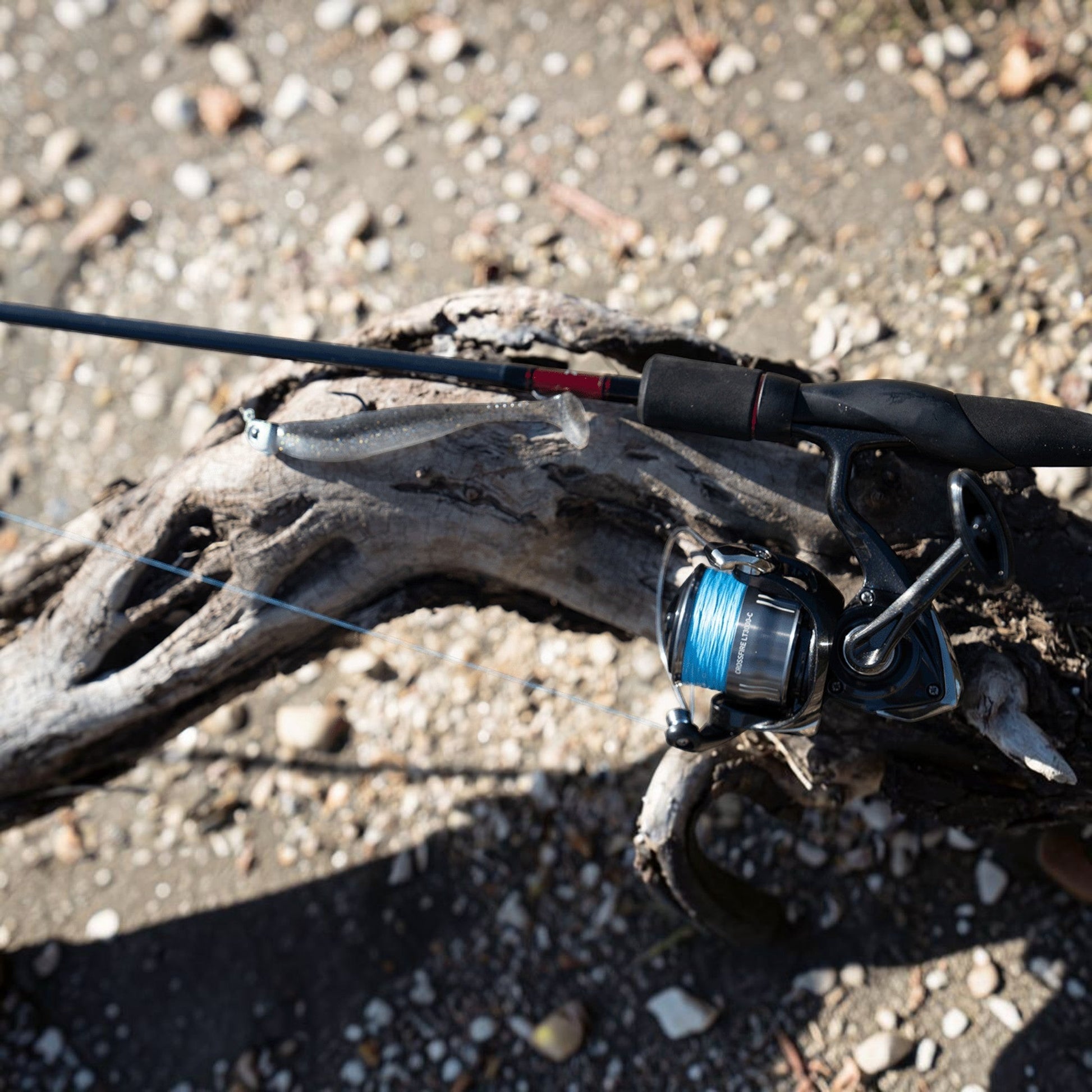 Daiwa Crossfire LT Spinning Reel * - Dogfish Tackle & Marine