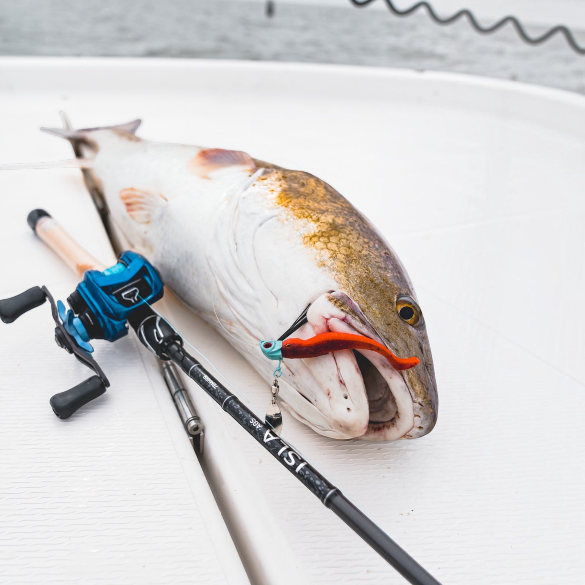 Daiwa ISLA AGS Inshore Casting Rods - Dogfish Tackle & Marine