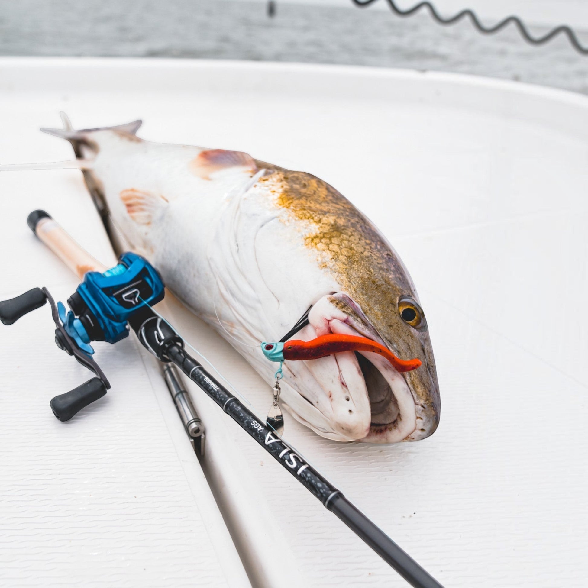 Daiwa ISLA AGS Inshore Casting Rods - Dogfish Tackle & Marine