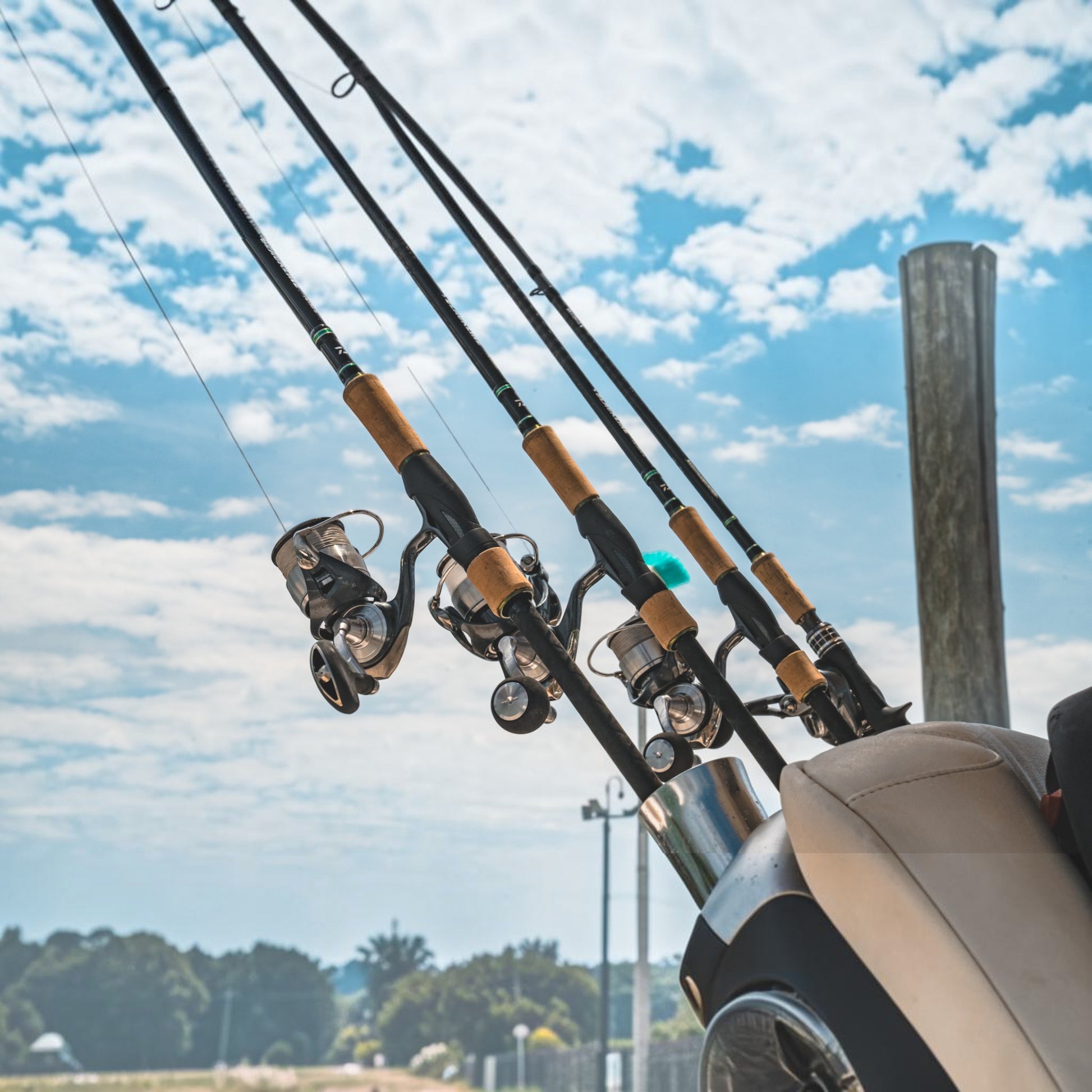 Daiwa Blackline Inshore Spinning Rod - Dogfish Tackle & Marine
