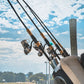 Daiwa Blackline Inshore Spinning Rod - Dogfish Tackle & Marine