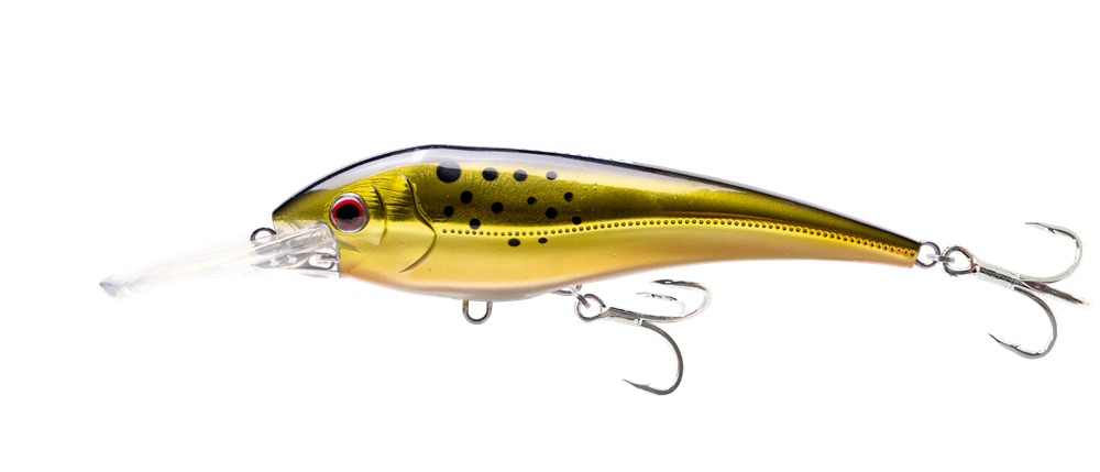 Nomad DTX Minnow 145 Shallow FLT 5 - 3/4" - Dogfish Tackle & Marine