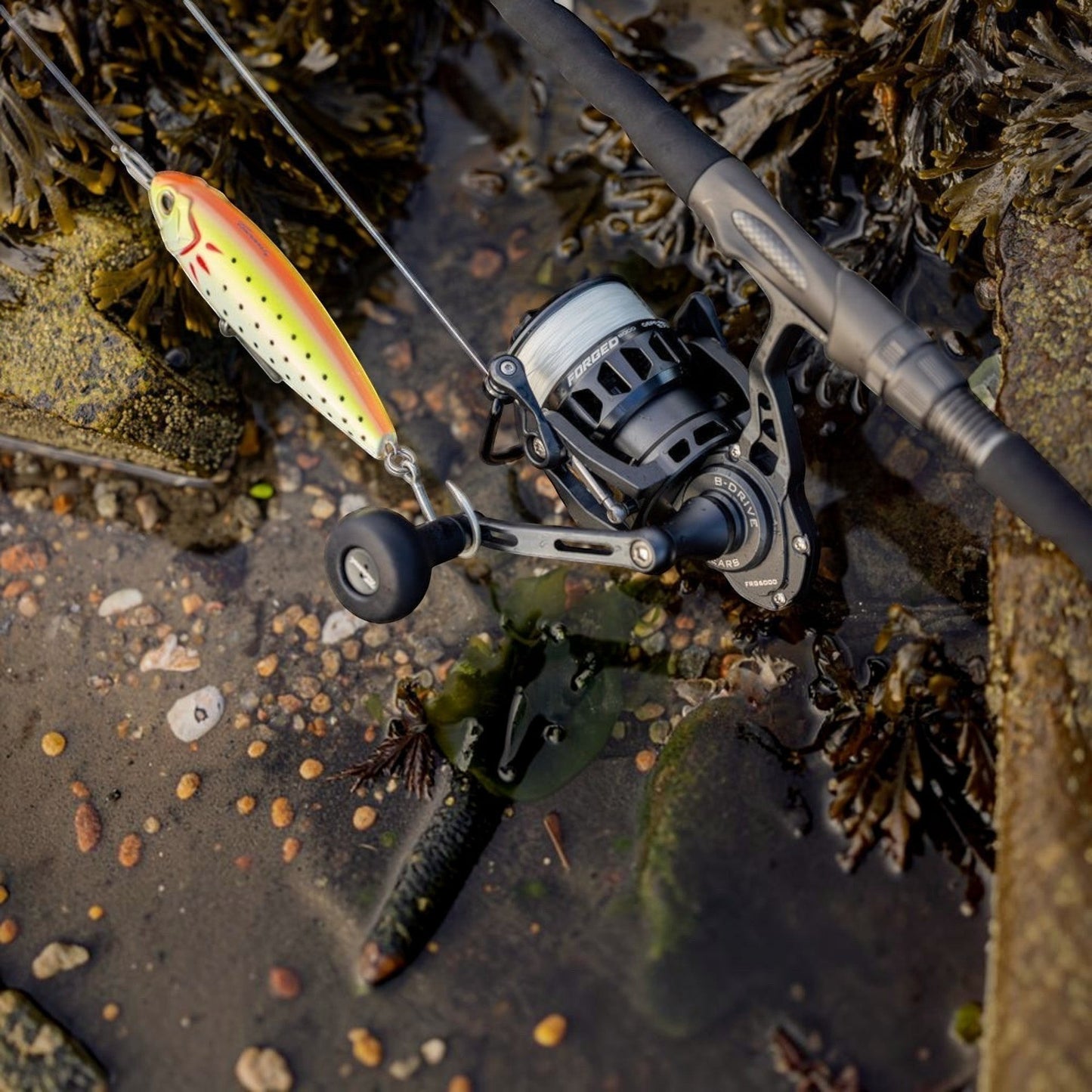 Tsunami Forged Spinning Reels - Dogfish Tackle & Marine