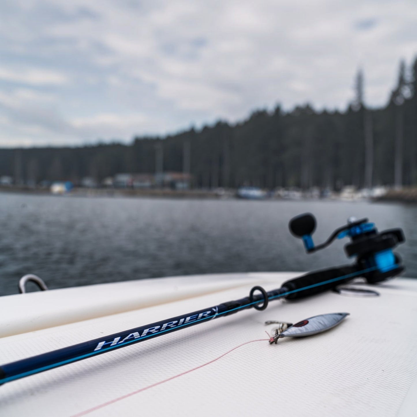 Daiwa Harrier X Spinning Jigging Rods - Dogfish Tackle & Marine