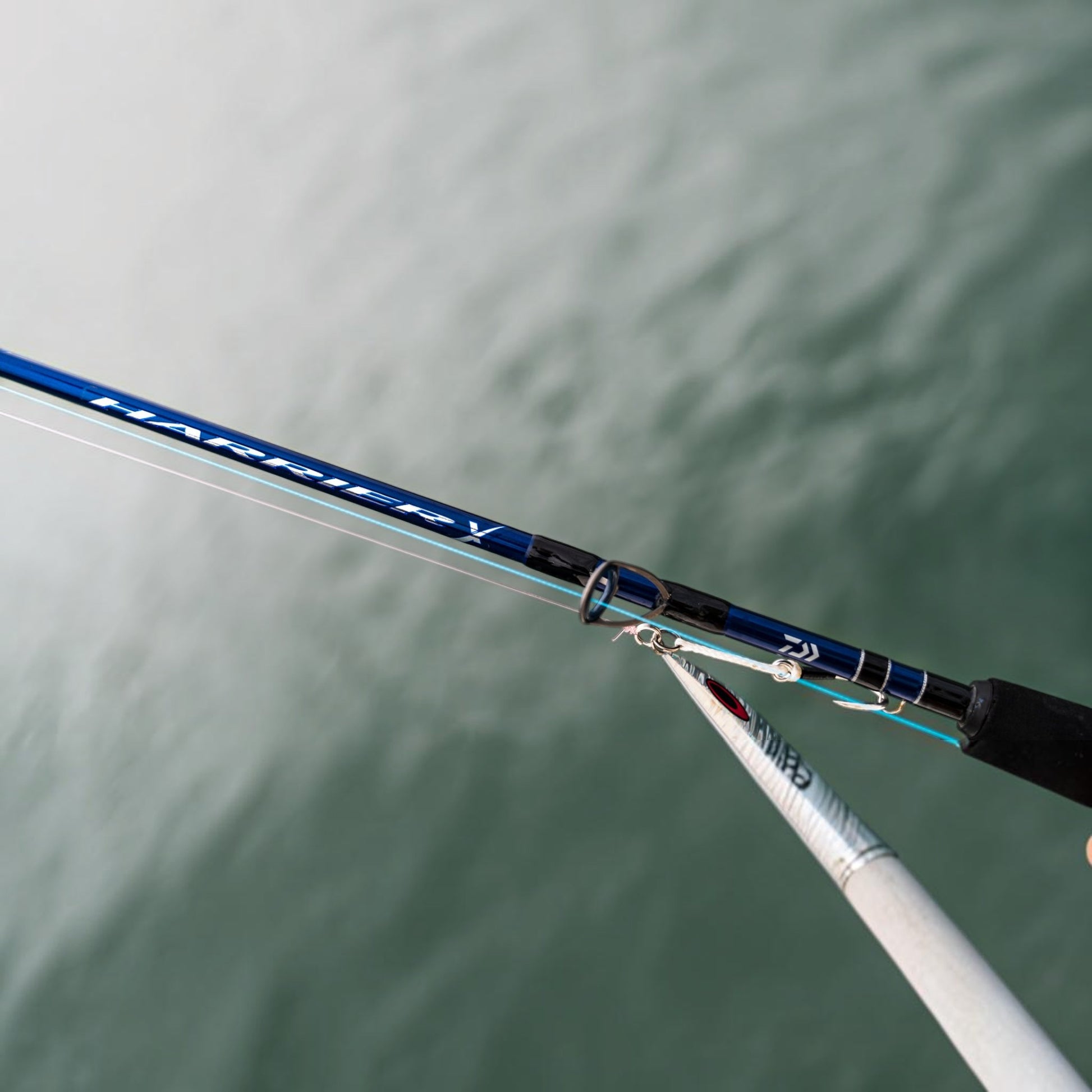 Daiwa Harrier X Rods - Dogfish Tackle & Marine